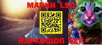 индика Малгобек