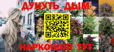 индика Малгобек