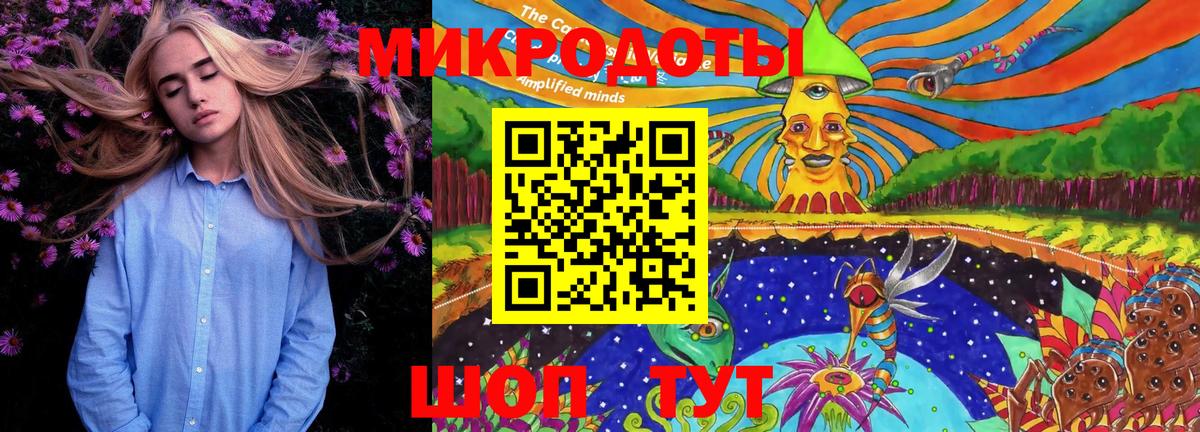 Горно-Алтайск  Галлюциногенные грибы GOLDEN TEACHER  Вход с VPN 